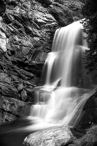 Root stock of a fallen tree in a flowing creek, black and white processed, harshly processed