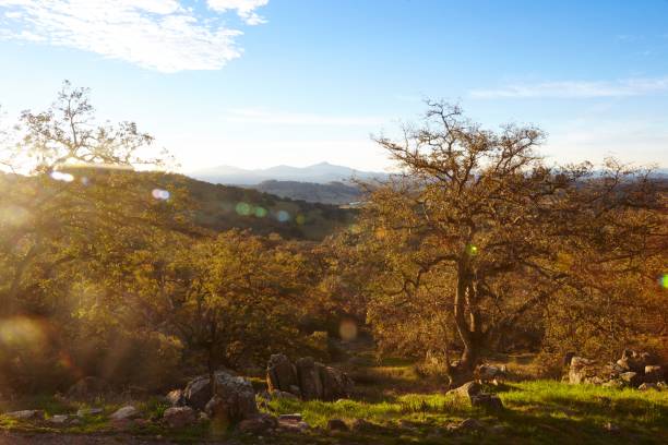 istock Golden Sunrise at Mesa Grande 1440279573