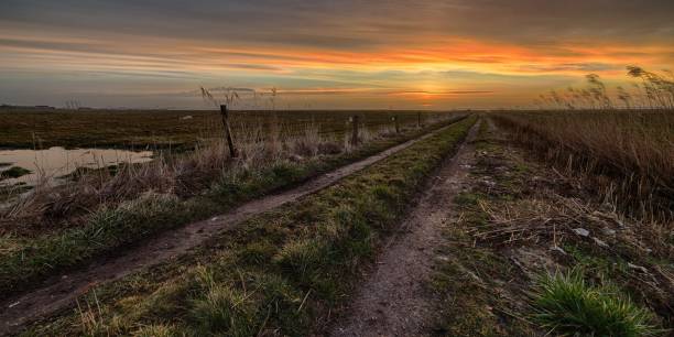 istock Beautiful sunset over the field on the countryside 1440280250