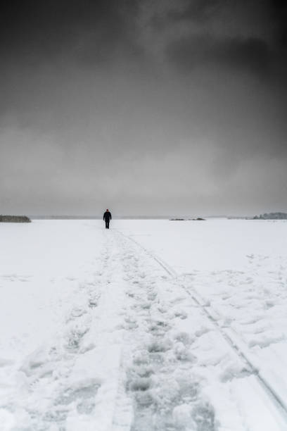 Walking alone in misty winter field. Solitude concept