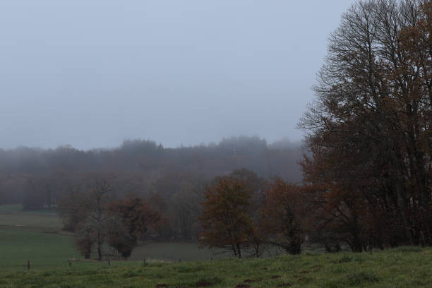 istock meadows and forest in winter mist 1440281986