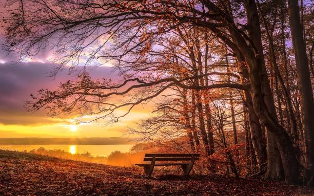istock Sunset over the Ammersee 1440282410