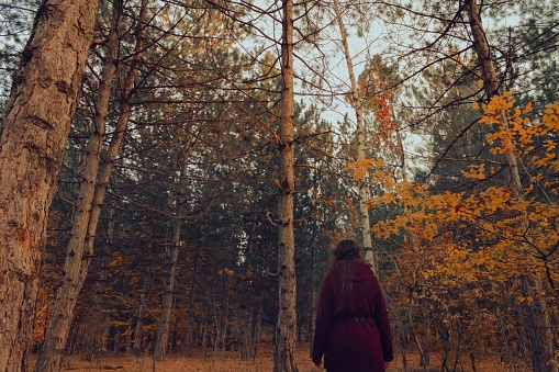 A beautiful shot of a female in a red coat walking in the forest in autumn