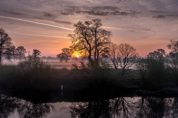 istock Amazing forest and the sunset 1440285334