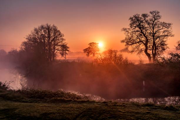 istock Amazing forest and the sunset 1440285357