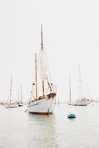 A vertical shot of white sailboats waiting for adventurous passengers in Newport Beach, California.