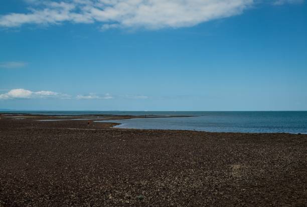 horizontal shot of a beautiful low tide on a river estuary under the cloudy sky - kane stok fotoğraflar ve resimler