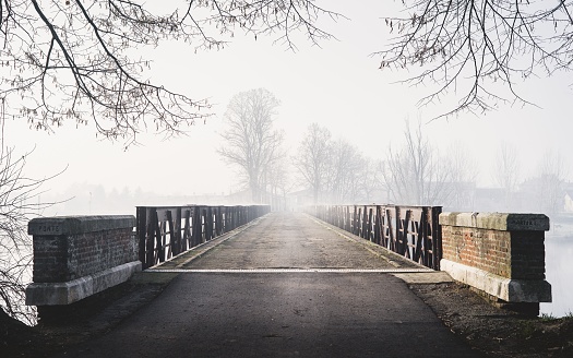 A horizontal creepy shot of a bridge leading to a foggy forest with houses. Perfect for mystery scenarios.