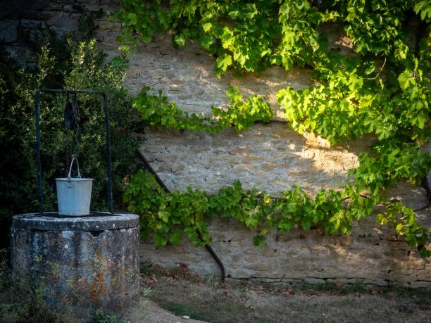 istock Water well near a brick wall with plants growing on it 1440288675