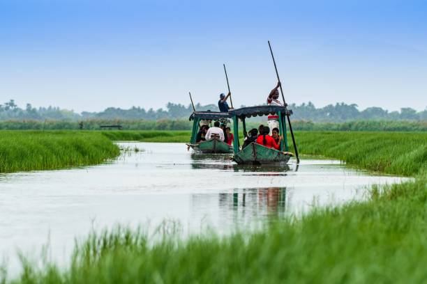 Boating at Mangalajodi, Orissa Khordha, Orissa, India – April 06, 2019: Tourists are ferried on traditional boats to watch birds in Mangalajodi bird scantuary, a part of Chilika lake,Asia's largest salt water lagoon. eco tourism stock pictures, royalty-free photos & images