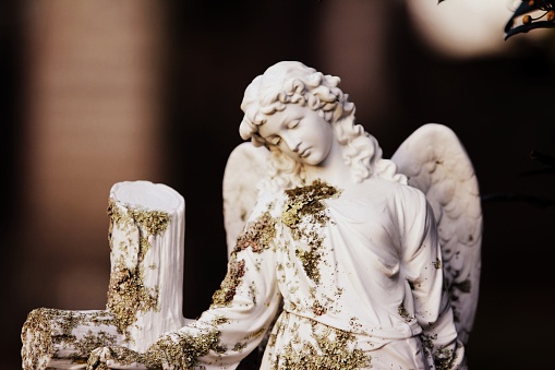 A closeup shot of a beautiful white angel statue in the park of Purewa with a blurred background