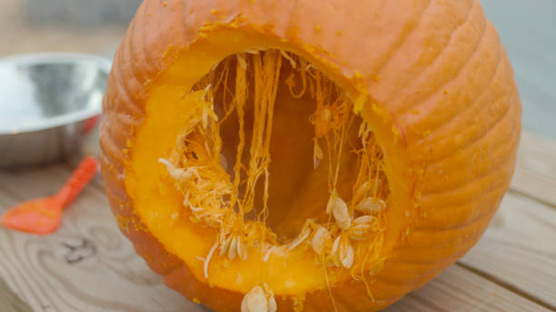 istock Guts and Seeds - Inside Pumpkin - Pumpkin Carving for Halloween  - Jack O’Lantern - Halloween 1440292914