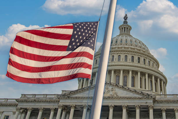 istock Democrat Politics & American Flag - Biden Administration Support 1440294540