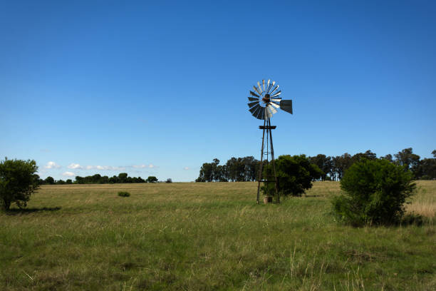 istock Wind pump among small bushes and grassland 1440296891