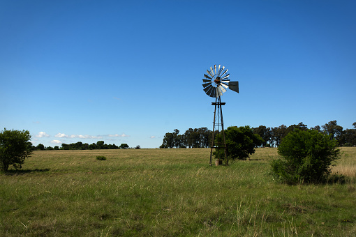 Wind pump in South Africa, among small bushes and veldt