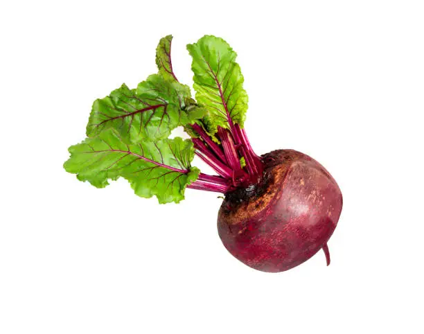 Beetroot on white . One fresh red beet with leaves isolated on white background