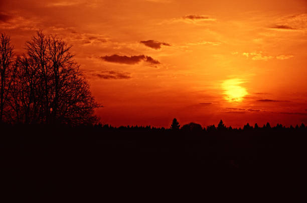 istock Beautiful mystic red sunset over the forest 1440298993