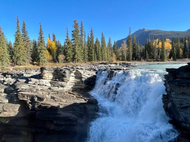 istock Jasper national park Icefield parkway Athabasca falls 1440299204