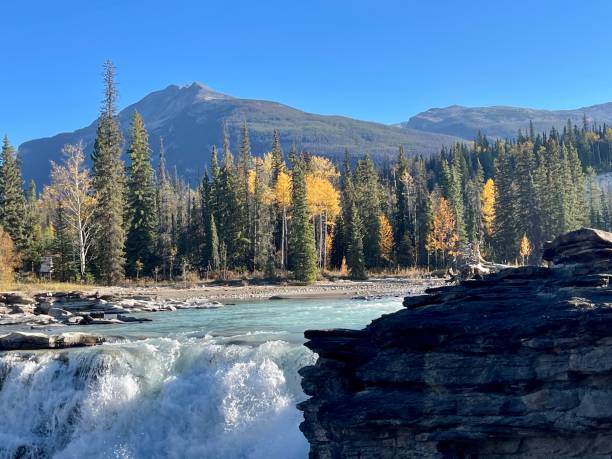 istock Jasper national park Icefield parkway Athabasca falls 1440299222