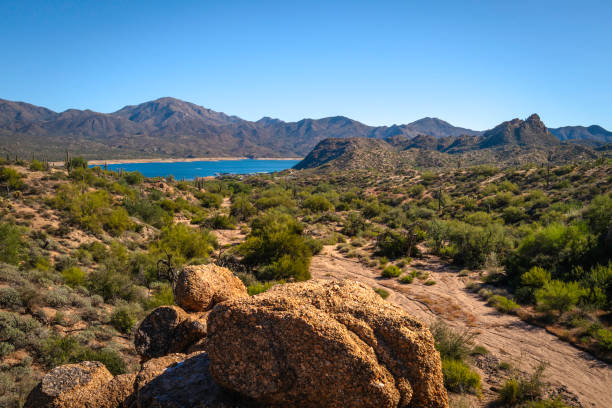 istock Rugged desert mountain landscape at the Bartlett Lake 1440299442