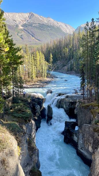 istock Sunwapta River banff national park Icefield parkway 1440299825