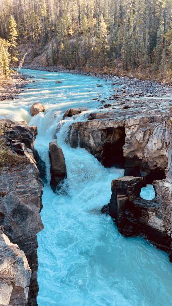 istock Sunwapta River banff national park Icefield parkway 1440300338