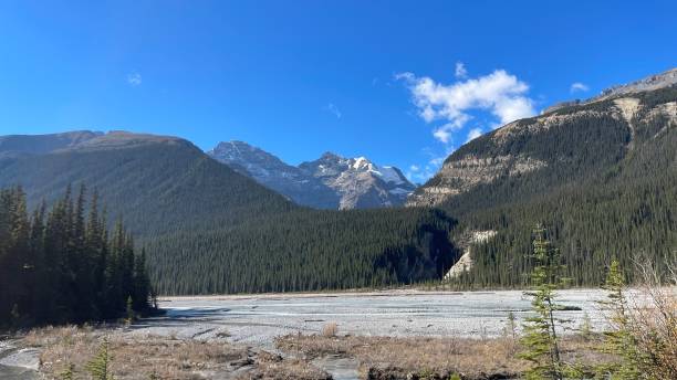 istock Sunwapta River banff national park Icefield parkway 1440301761