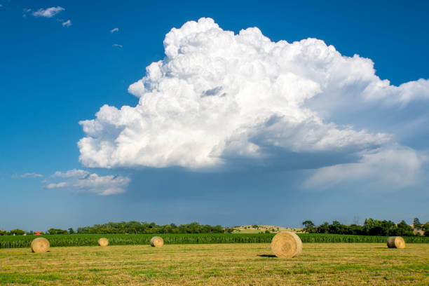 Hay bales and cornfield Large round hay bales sit on a freshly cut field in front of a dramatic storm cloud in the distance. robert michaud stock pictures, royalty-free photos & images