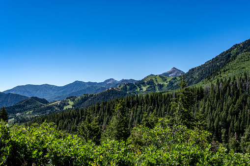 The Sundance region of Utah in the Wasatch Mountains. in summer. The top of the Sundance Ski area is visible.