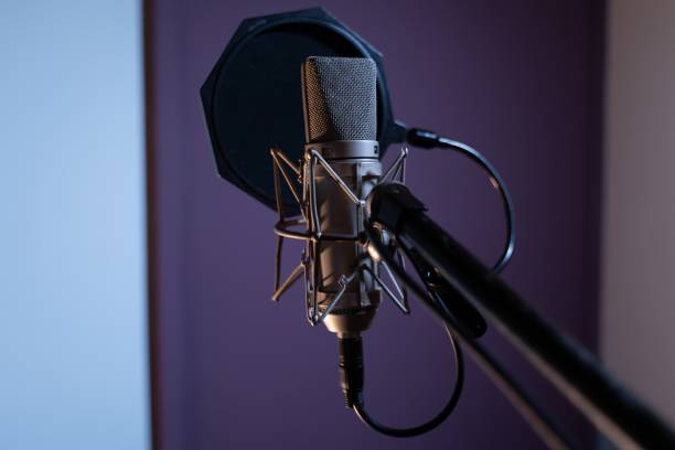 istock Closeup shot of a condenser microphone with a pop filter and a blurred background 1440302540