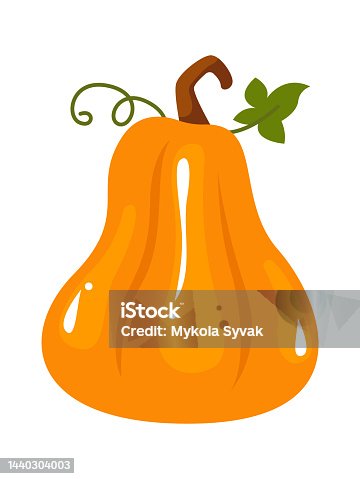 istock Pumpkin Autumn Plant. Vector illustration 1440304003
