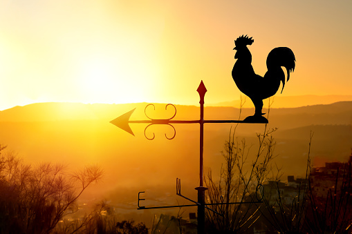 Rooster weather vane at sunrise with bright colors. Concept of early morning wake up