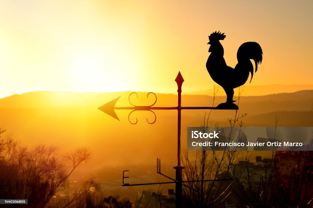 Rooster weather vane at sunrise with bright colors. Concept of early morning wake up Bird Stock Photo