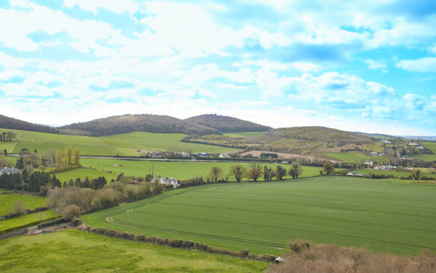 istock Look at the mountain meadows in the spring sun. Top view 1440311873