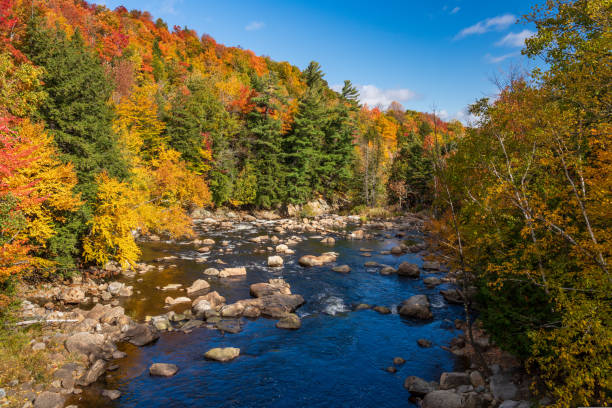 istock Ausable river near Wilmington Notch in New York state 1440314966