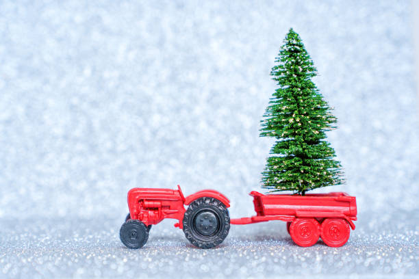 istock Christmas tree farming and cultivation background 1440315926