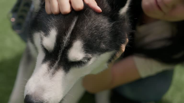 Asian woman petting her dog with love.