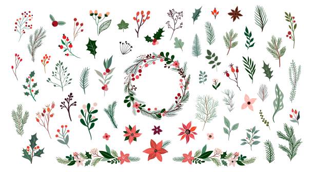 рождественская ботаническая коллекция с сезонными цветами и растениями, цветочным венком и гирляндой, зимним дизайном, изолированным на б� - decorative plant stock illustrations