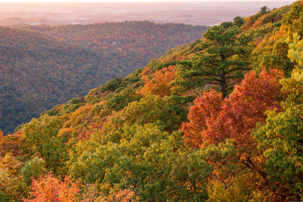 istock Sunset over Morgantown seen from Coopers Rock 1440317493