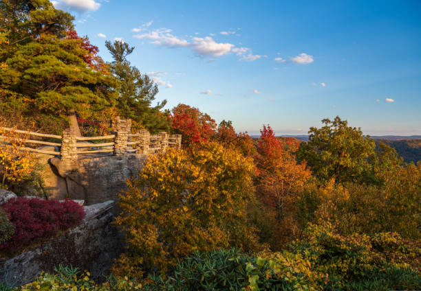 istock Coopers Rock panorama in West Virginia with fall colors 1440318465
