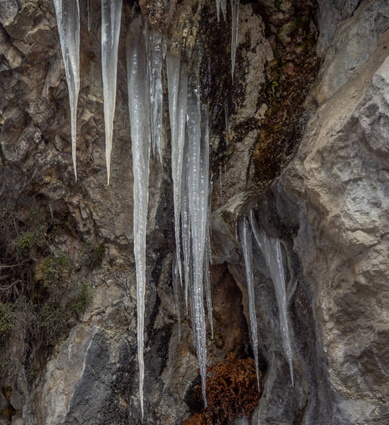 cascades glacées - sport ketchikan alaska usa photos et images de collection