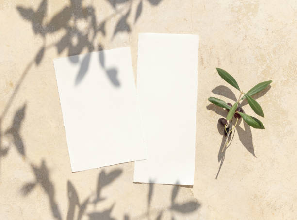 istock Blank cards on concrete table with olive tree branches and hard shadows, wedding mockup 1440322357