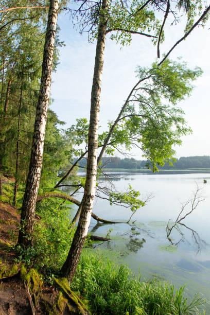 istock Sunrise on the lake 1440323576
