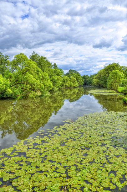 istock Fulda river in Aueweiher Park in Fulda, Hesse, Germany 1440324517