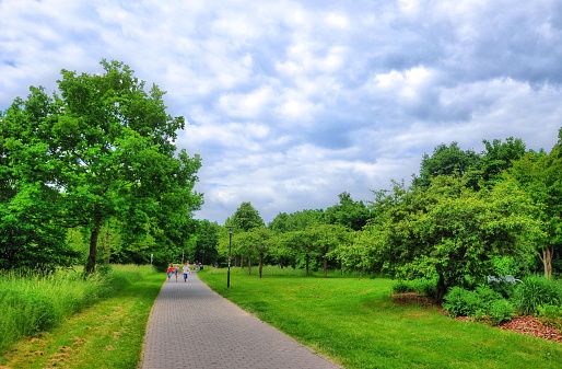 Walking trough the green paths of Runnymede park in spring