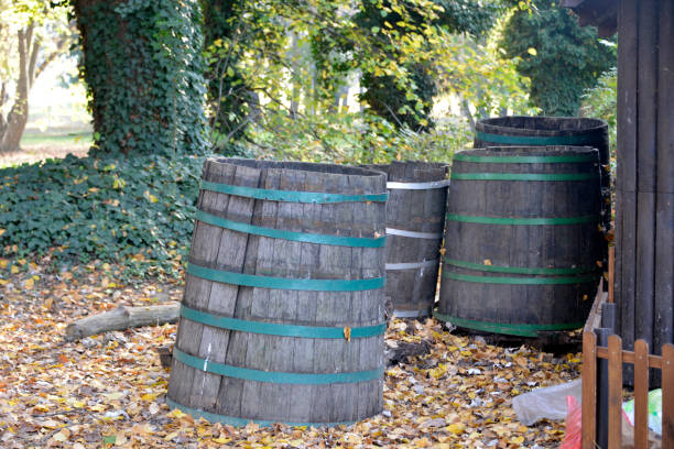istock autumn, season, park 1440326783