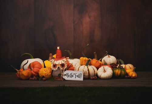 Atmospheric Fall or Thanksgiving background with a collection of pumpkins and an owl with a HELLO FALL sign.  Wood background for text
