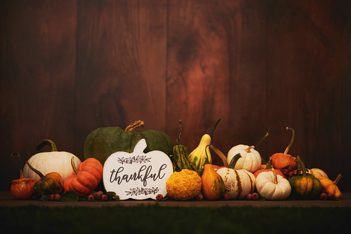 Different food pumpkins or squashes for Halloween or Thanksgiving and colorful autumn leaves, isolated on a white background with copy space, selected focus, narrow depth of field