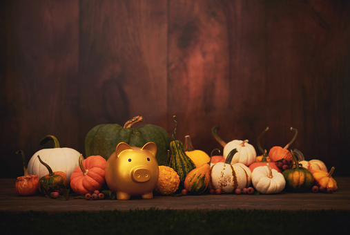 Atmospheric Fall or Thanksgiving background with a collection of pumpkins and a gold piggy bank. Wood background for text