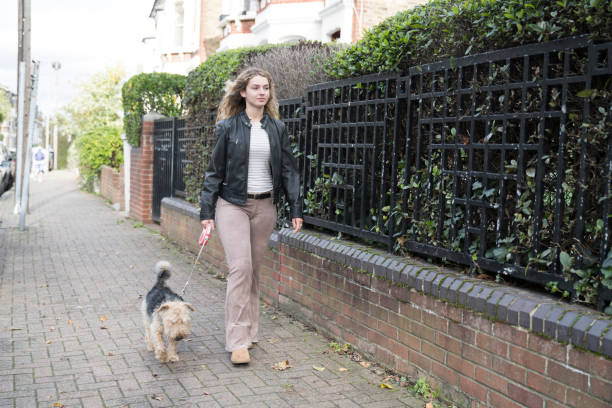 istock Young woman walking Welsh Terrier in residential district 1440334501